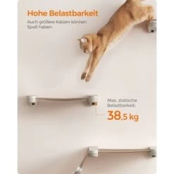 FEANDREA Clickat Katzenmöbel 3er Set, Für Die Wand 18 FEANDREA Clickat Katzenmöbel 3er Set, Für Die Wand -Zoofachgeschäft f7aff5070c5f1b9dc5bbdf24e5f94b30ab6bcc4a 1681459 de DE 2162716de0a1552ee6b9cb18bfa03d352c2b2eebcymJF2
