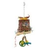Wagner Papageienspielzeug Color Bell Fun -Zoofachgeschäft f7ca4eedc2a0decb3e48343a4e3082d1efeb240b 1120530 de DE 798d12eced0258f08265976fd0e01958d6b3a095P7LPoa