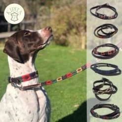 Kipita Polo Hundeleine Classic -Zoofachgeschäft f86aae5f01ccb0fa2be4e64b3698130c3af93e02 1410955 de DE 0bc8d688bd07984d484eea2e3dc3f790086fea45s1x5Vw