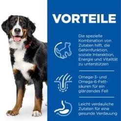 Hill's Science Plan Senior Vitality Large Breed Mature Adult 6+ Mit Huhn 14 Kg -Zoofachgeschäft f9e7891f0b0bb96357430cc68b8deb1ca3a64989 52742025964 4