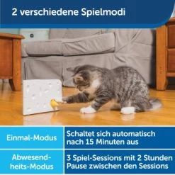 PetSafe Automatisches Katzenspielzeug Cheese -Zoofachgeschäft fb7a0832f9ce304e718dcc4794f2cf739b4e7a8c 1418723 de DE 4a23e34535656fc34326c28d1ee9f2e4cf746d9ejCxFF6