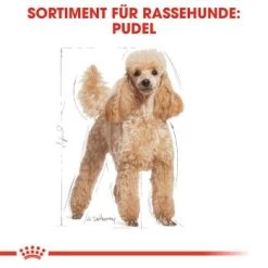 ROYAL CANIN Poodle Adult In Soße 12x85g 8 ROYAL CANIN Poodle Adult In Soße 12x85g -Zoofachgeschäft fb86c0620865f030df6bf40428c3486f929a93cf 88b6bb860653cd13cab44fad51b4b8db62a7114c