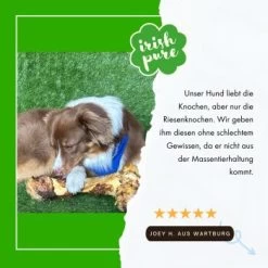 Irish Pure Giant Beef Bone -Zoofachgeschäft fc09e467ac9750001a659038364b0790920982a2 1288899 de DE 3b559e712b4a15ebe21ce4f69265d21fcd9b4a9efdhT7I
