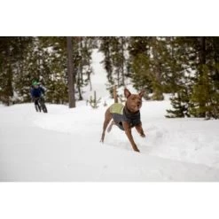 Ruffwear Climate Changer™ Fleece-Pullover Für Hunde Rot S -Zoofachgeschäft fc22c2bf571467d3b4a13f07039506d1e744f556 1369661 de DE a9fba8eb5491b88489a9522880e926a6833ccfbe7NJDVr