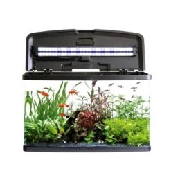 Fluval VUE Kombination -Zoofachgeschäft fd4e8c99a1ff9a7810f2e66a612336979e00cadc 230c6fe89450b7201e99db58cd57b7ca261863fc