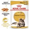 ROYAL CANIN Maine Coon 12x85g -Zoofachgeschäft fdf483eeb3c41dc63a8fcf7d7e671baf4a99c8e4 fd4fefbbf482602021294d203fb1cc87789b8086