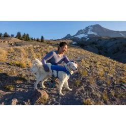 Ruffwear Trail Runner™ Weste Blau XS -Zoofachgeschäft fe9a07e8da387504b2215a58c73311668656feaa 1639640 de DE 7e91d54f53a97c1cbc2709f9a67c912d45a39cffx1uy8o