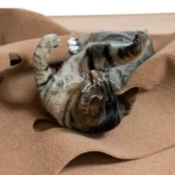 Canadian Cat Company Spielteppich Für Katzen Braun -Zoofachgeschäft feeb1471a0788eb13995861dfe89bb445b21d4b8 1394213 de DE 4a32360e22e339a18cf0f9a52c488f1077251d777uzNQw