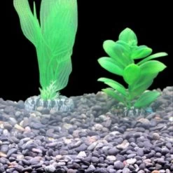 Silbermann Dark Gravel 5 Kg -Zoofachgeschäft ff1094e95dae4f2b4a17de06744297fd7ecdbcef 1490266 de DE 8b44a4fbef1605f539c0ebb3a538a091cec3dbadmMXnlK