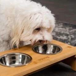 Lionto Erhöhte Futterstation Aus Bambus Braun/ Silber S -Zoofachgeschäft ff2eba128a0d6b75a70cc824dc213b8dd85d734a 1665921 de DE e23b5a688ebe67bbe1f23e079b16083d61ef18cdlFh9kV